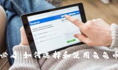 新手必看：如何选择和使用龟龟币钱包