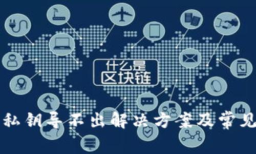 比太钱包私钥导不出解决方案及常见问题解析