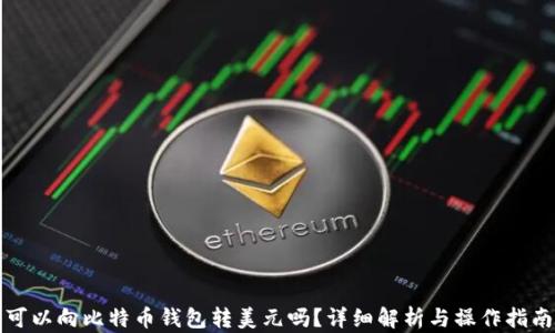 
可以向比特币钱包转美元吗？详细解析与操作指南