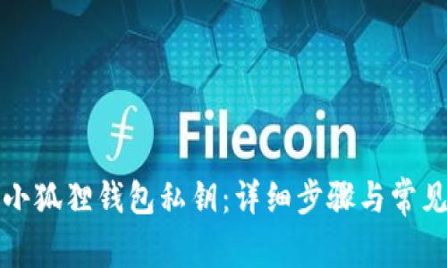 如何查看小狐狸钱包私钥：详细步骤与常见问题解答