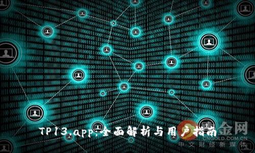 TP13.app：全面解析与用户指南