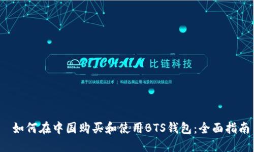 如何在中国购买和使用BTS钱包:全面指南