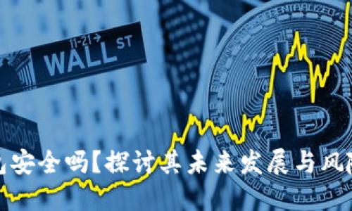 TP钱包安全吗？探讨其未来发展与风险评估