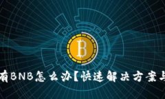 TP钱包没有BNB怎么办？快速解决方案与操作指南