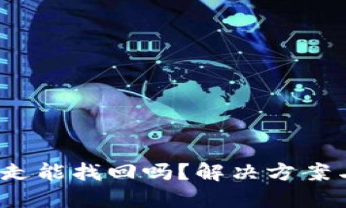  TP钱包币被转走能找回吗？解决方案与预防措施揭秘