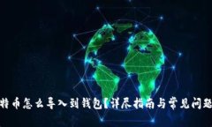 : 比特币怎么导入到钱包？详尽指南与常见问题解