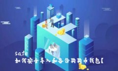 safe如何安全导入和备份狗狗币钱包？