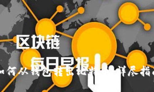 如何从钱包转出比特币：详尽指南