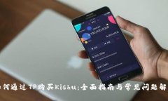 如何通过TP购买Kishu：全面指南与常见问题解答