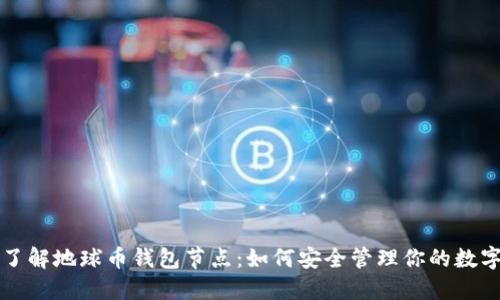 深入了解地球币钱包节点：如何安全管理你的数字资产