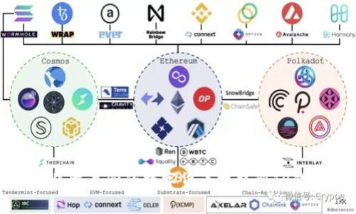 如何将交易所的数字货币提取到TP钱包上