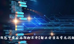 TP冷钱包下载后为何打不开？解决方案及常见问题