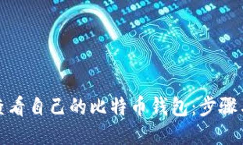 如何查看自己的比特币钱包：步骤与技巧