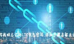 如何找回忘记的LTC钱包密码：详细步骤与解决方