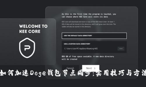 如何加速Doge钱包节点同步：实用技巧与方法