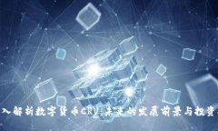 : 深入解析数字货币CRV：未来的发展前景与投资机