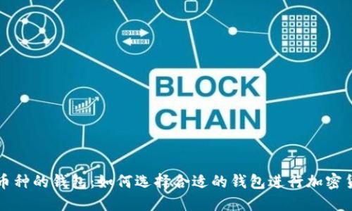 支持多币种的钱包：如何选择合适的钱包进行加密货币投资