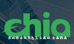 新比特币的钱包怎么找回：全面指南