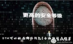 BTM可以放在哪些钱包？全面分析与推荐
