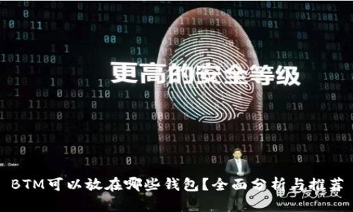 BTM可以放在哪些钱包？全面分析与推荐