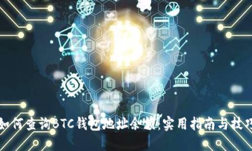 如何查询BTC钱包地址余额：实用指南与技巧