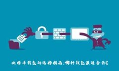 比特币钱包的选择指南：哪种钱包最适合你？