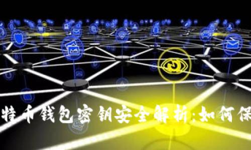  2023年莱特币钱包密钥安全解析：如何保护您的资产