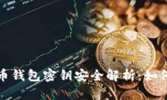  2023年莱特币钱包密钥安全解析：如何保护您的资