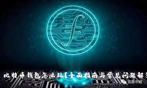 : 比特币钱包怎么玩？全面指南与常见问题解答