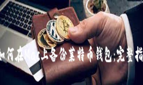  如何在Mac上备份莱特币钱包：完整指南