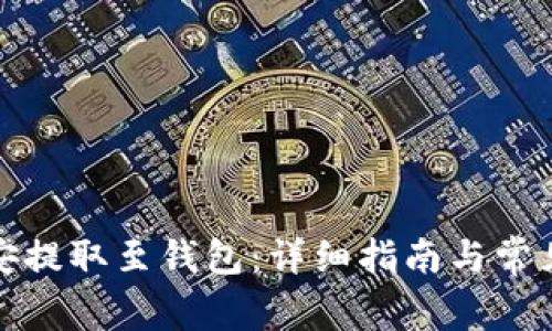 如何在币安提取至钱包：详细指南与常见问题解答