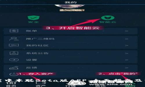 如何安全下载中本聪Beta版APP：全面指南及常见问题解答
