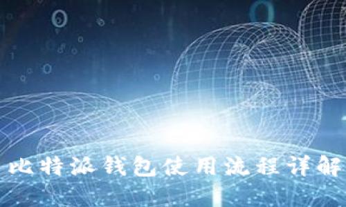 比特派钱包使用流程详解